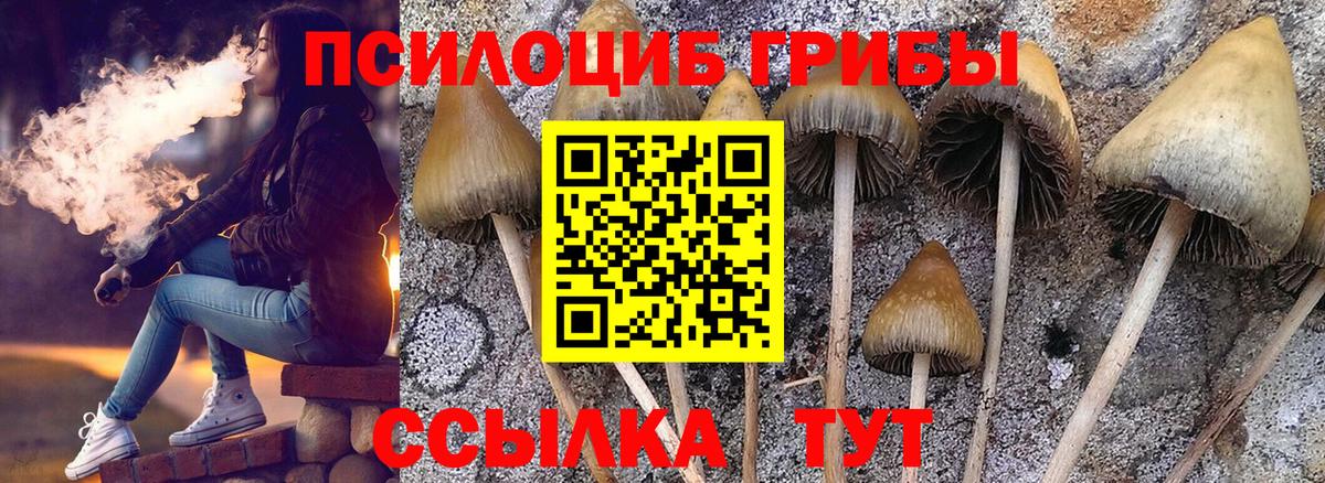 Галлюциногенные грибы мицелий  Вход с VPN  цена   Коркино 
