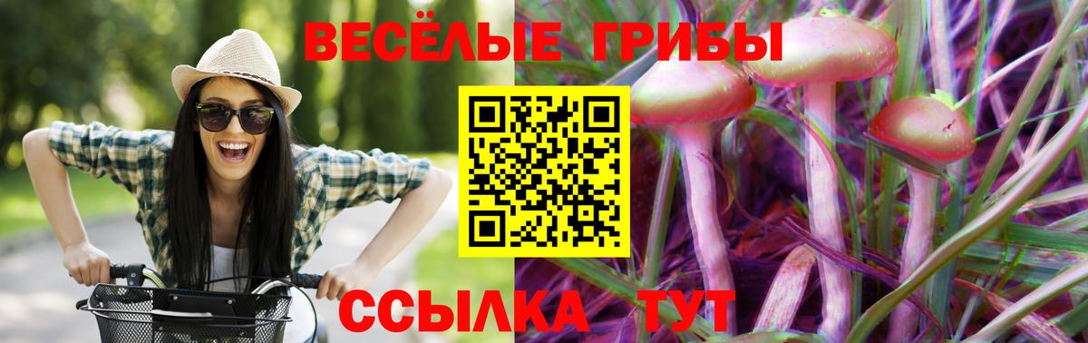 Псилоцибиновые грибы MAGIC MUSHROOMS Коркино